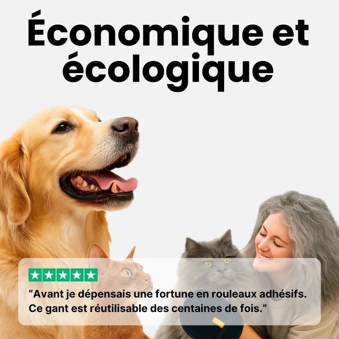 PetClean™ – Gant Anti-Poils Universel