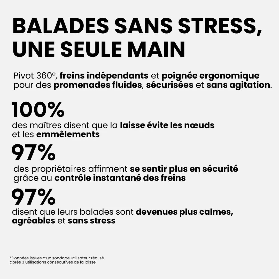 Laisse Double Rétractable – Zéro Nœud, Zéro Stress