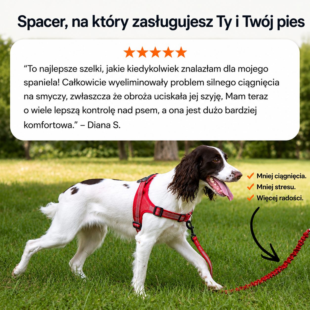 ParoPet Szelki Antyciągowe dla Psa