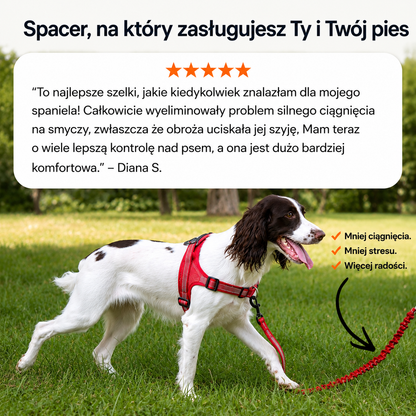 ParoPet Szelki Antyciągowe dla Psa