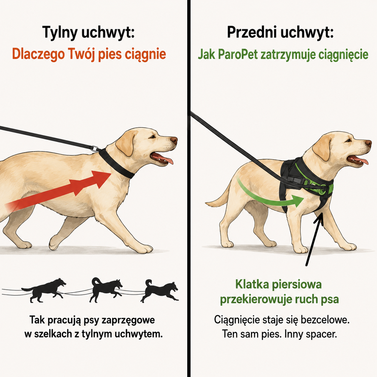 ParoPet Szelki Antyciągowe dla Psa