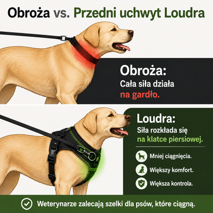 ParoPet Szelki Antyciągowe dla Psa