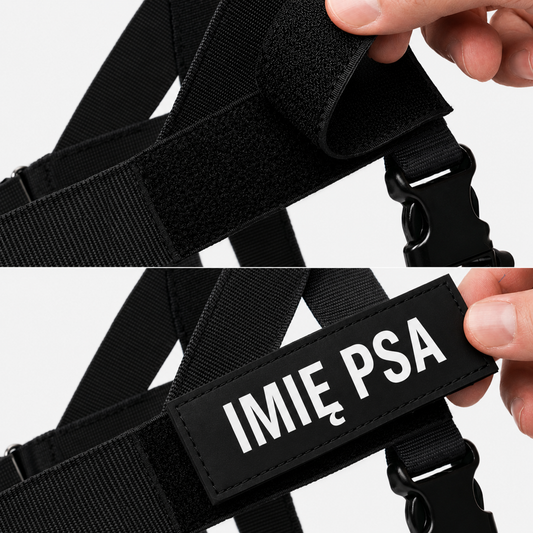 IMIĘ PSA