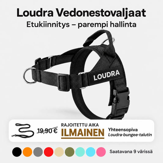 TassuPro – vetämistä estävät koiran valjaat