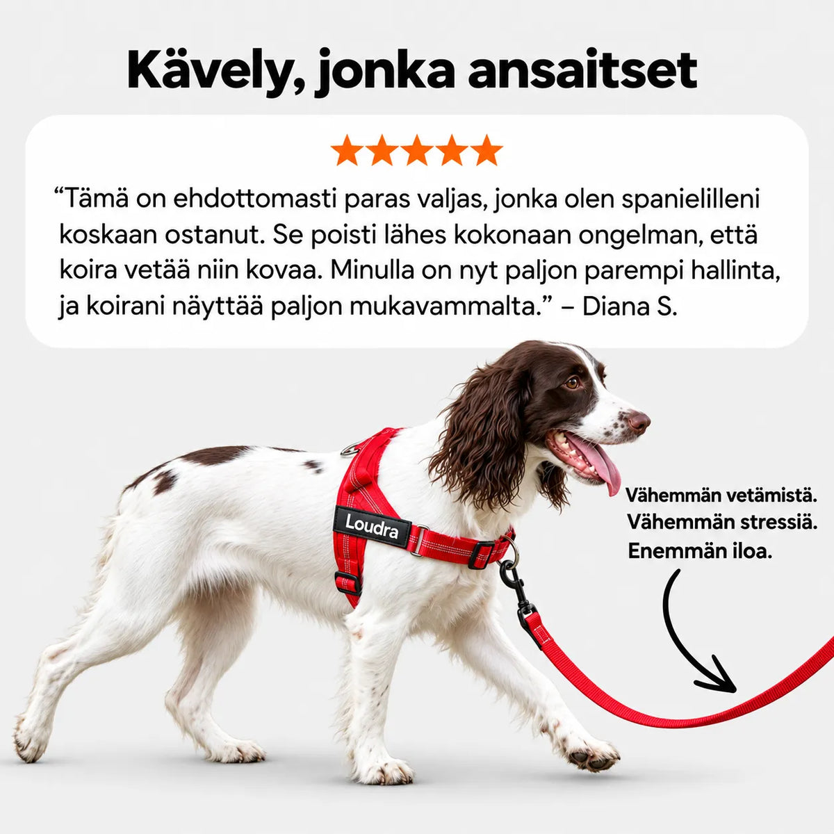 TassuPro – vetämistä estävät koiran valjaat