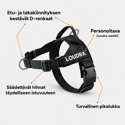 TassuPro – vetämistä estävät koiran valjaat