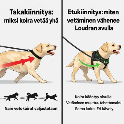 TassuPro – vetämistä estävät koiran valjaat