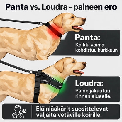 TassuPro – vetämistä estävät koiran valjaat