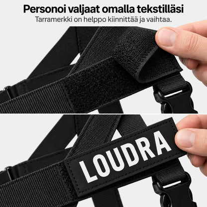 TassuPro – vetämistä estävät koiran valjaat