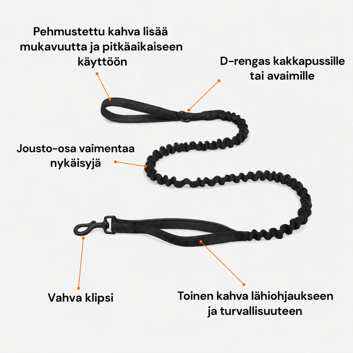 🎁 ILMAINEN TassuPro Classic -koiran talutushihna