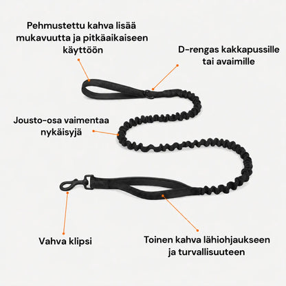 🎁 ILMAINEN TassuPro Classic -koiran talutushihna