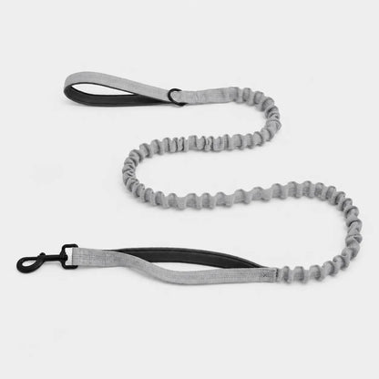 🎁 ILMAINEN TassuPro Classic -koiran talutushihna