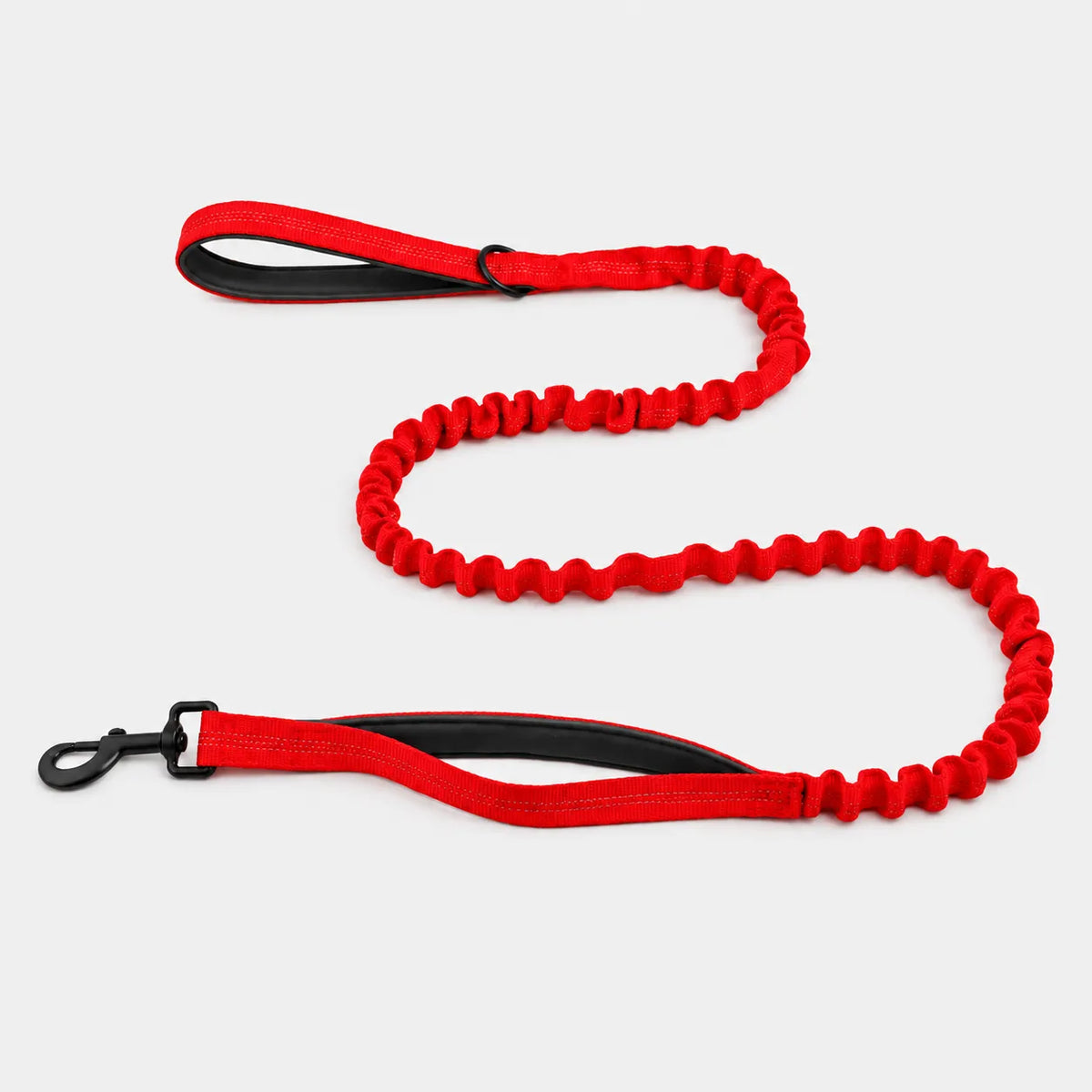 🎁 ILMAINEN TassuPro Classic -koiran talutushihna